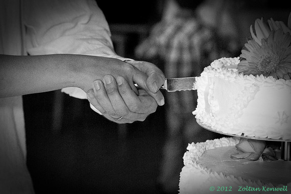 _MG_3838