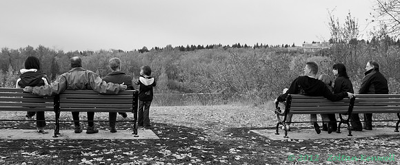 _MG_8649